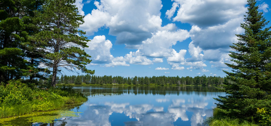 Pure Michigan lake and forest